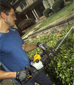 Poulan pro deals 262 chainsaw